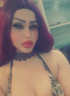 Queen Diva - Acompañantes transexual in Beirut Photo 3 of 10