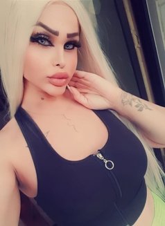 Queen Diva - Transsexual escort in Beirut Photo 10 of 10