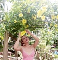 Queen Dolly - Transsexual escort in Udon Thani