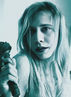 Queen Dometrex Rebecca Roy - Acompañantes transexual in Bangalore Photo 27 of 30