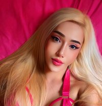 Queen Goddess Natasha - Transsexual escort in Casablanca