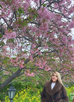 Queen Goddess Natasha - Transsexual escort in Abu Dhabi Photo 17 of 21