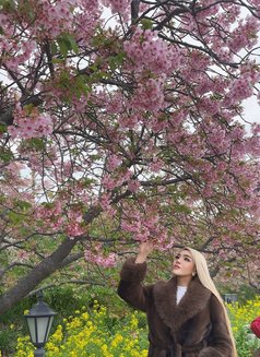 Queen Goddess Natasha - Transsexual escort in Abu Dhabi Photo 30 of 30