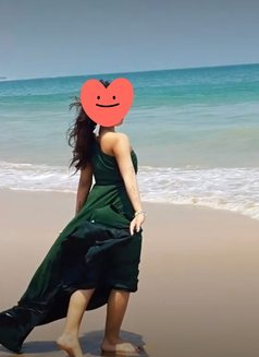 Queen Independant Escort - escort in New Delhi Photo 5 of 6