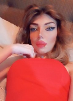Queen JIJI - Acompañantes transexual in Beirut Photo 9 of 11