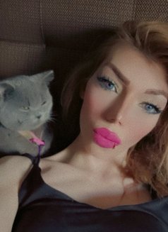 Queen JIJI - Acompañantes transexual in Beirut Photo 10 of 11