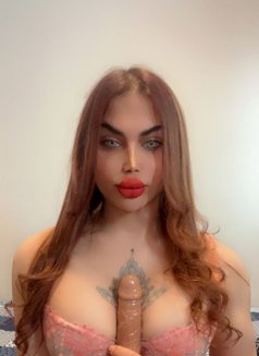 اQueen Judy of Arabia - Transsexual escort in Vancouver Photo 7 of 14