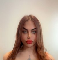 اQueen Judy of Arabia - Transsexual escort in Vancouver