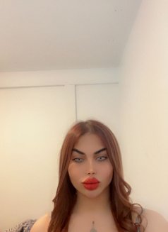 اQueen Judy of Arabia - Transsexual escort in Vancouver Photo 9 of 14