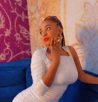 Queen Just Landed in Chandigarh - escort in Chandigarh