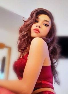 Queen Katty - Transsexual escort in Subang Jaya Photo 1 of 7