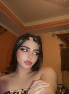 Queen Katty - Acompañantes transexual in Beirut Photo 1 of 3