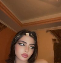 Queen Katty - Acompañantes transexual in Beirut