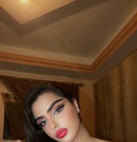 Queen Katty - Acompañantes transexual in Beirut