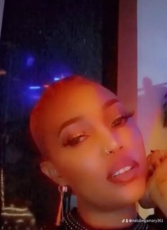 Queen - escort in Pattaya Photo 1 of 4