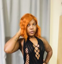 Queen Kira - escort in Beirut