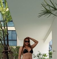 Queen Ladyboy in Dubai - Transsexual escort in Dubai