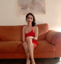 Monica - Transsexual escort in Cairo
