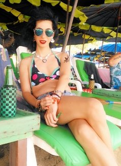 Queen - Acompañantes transexual in Cairo Photo 6 of 6