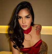 LIMITED DAYS IN BANGKOK - Transsexual escort in Bangkok