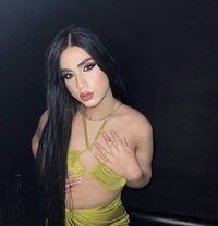 Queen LILITH - Transsexual escort in Beirut