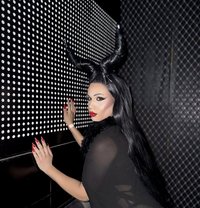Queen LILITH - Transsexual escort in Beirut