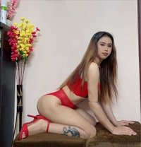 Queen Lucy - Transsexual escort in New Delhi