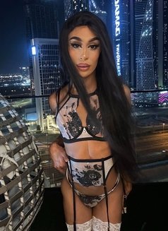 ✰ ✰ ✰ ✰ ✰ QUEEN Manelyk 9INCH🇧🇷 - Transsexual escort in Dubai Photo 20 of 30
