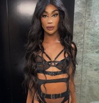 ✰ ✰ ✰ ✰ ✰ QUEEN Manelyk 9INCH🇧🇷JVC - Transsexual escort in Dubai