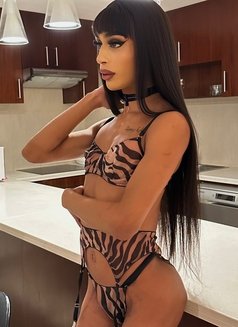 ✰ ✰ ✰ ✰ ✰ QUEEN Manelyk 9INCH🇧🇷JVC - Acompañantes transexual in Dubai Photo 20 of 29