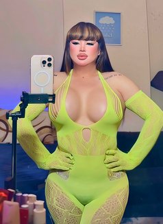 Queen MASHA Thai mix Iran🇮🇷TOP ON X - Transsexual escort in Abu Dhabi Photo 25 of 25
