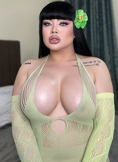 Queen Masha Thai🇹🇭mix 🇮🇷Iran100%BOTH - Transsexual escort in Abu Dhabi Photo 27 of 27