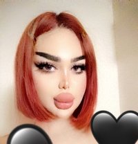 Queen Maya - Transsexual escort in Beirut