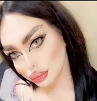 Queen Maya - Transsexual escort in Beirut