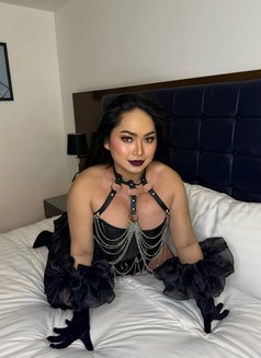 ExtremelyMazing Dom Top Mistress l🌬 - Transsexual escort in Bangkok Photo 12 of 20