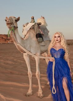 Queen Monika last day in Riyadh - Acompañantes transexual in Riyadh Photo 14 of 15