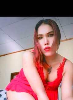 Queen Nadee - Acompañantes transexual in Colombo Photo 2 of 6