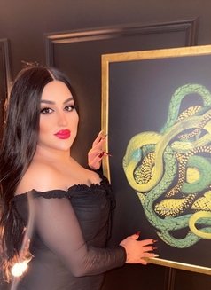 Queen naya 20cm نايا شميل عربيه - Transsexual escort in İstanbul Photo 15 of 18