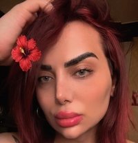 Queen Naya - Transsexual escort in Damascus