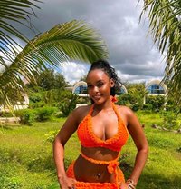 QUEEN NEW ARRIVAL - escort in Ahmedabad