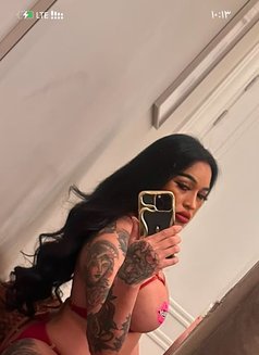 Queen Nikki - Transsexual escort in Riyadh Photo 4 of 7