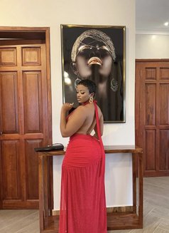 Professional Elite(Incall&Outcall) - escort in Noida Photo 2 of 7