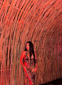 Queen of squirt and doggy style - escort in Bali Photo 30 of 30