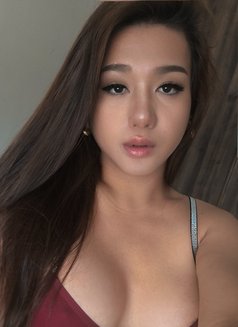 Queen olivia - Transsexual escort in Casablanca Photo 15 of 27