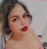 Queen Pinata - escort in Al Sohar