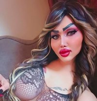 Queen roze - Transsexual escort in Damascus