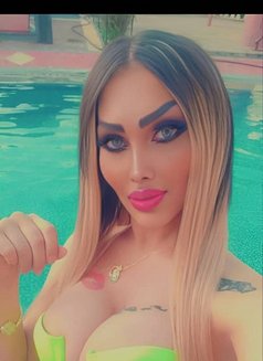 Queen roze - Acompañantes transexual in Damascus Photo 30 of 30