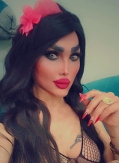 Queen roze - Acompañantes transexual in Damascus Photo 1 of 10