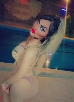 Queen roze - Transsexual escort in Damascus Photo 12 of 15