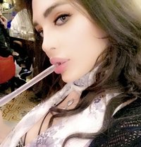 سرين من بيروت لبنان - Transsexual escort in Erbil
